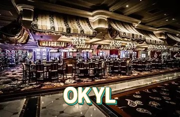 Interface do Aplicativo OKYL - Design Premium e Intuitivo
