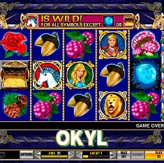 OKYL Plataforma - OKYL visual 1